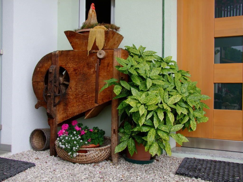 Kerschbamerhof Im Sueden Suedtirols Cortaccia Ngoại thất bức ảnh