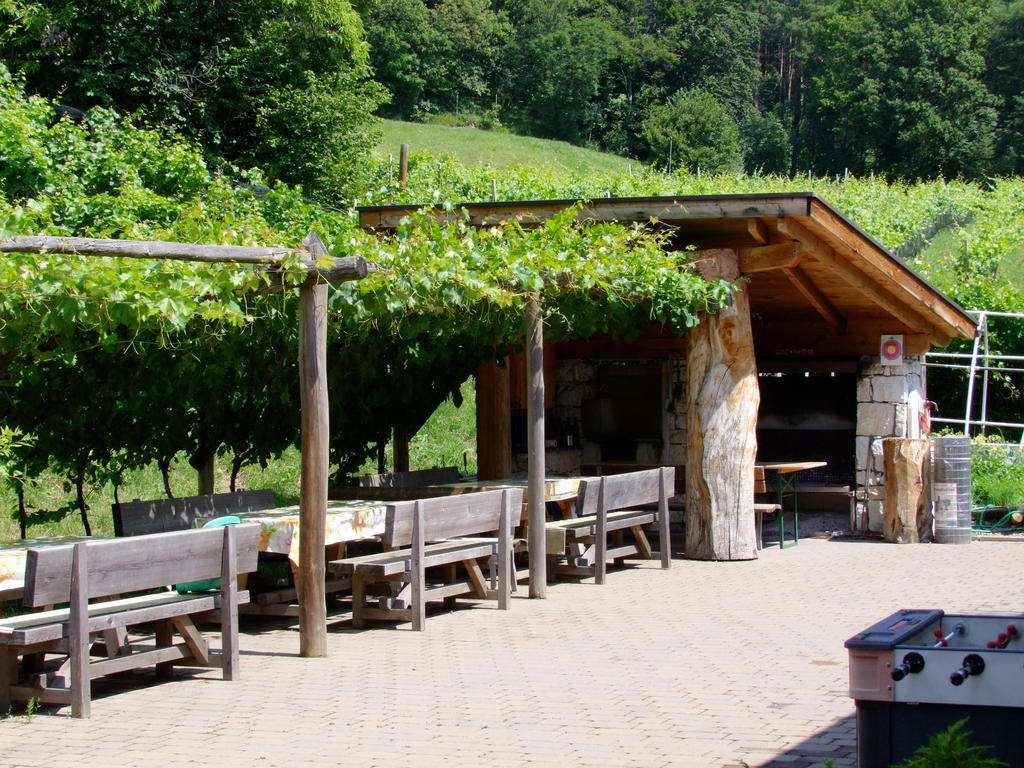 Kerschbamerhof Im Sueden Suedtirols Cortaccia Ngoại thất bức ảnh